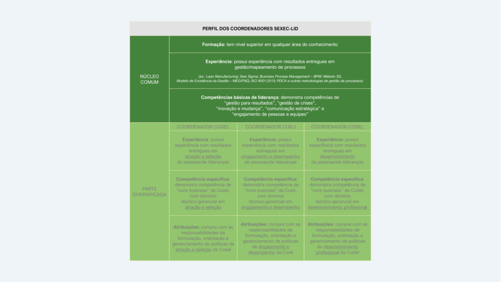 Proposição do perfil requerido (núcleo comum + parte diversificada) dos Coordenadores SEXEC-LID